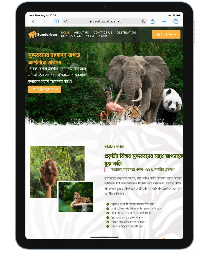 Travel website